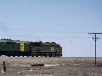 Trans-Australian railway